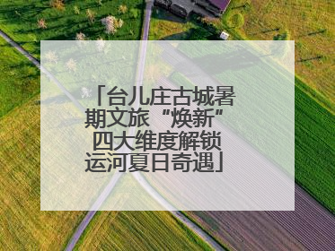 台儿庄古城暑期文旅“焕新” 四大维度解锁运河夏日奇遇