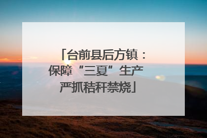台前县后方镇：保障“三夏”生产 严抓秸秆禁烧