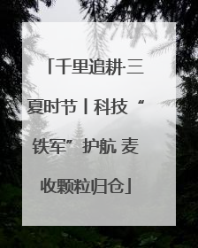 千里追耕·三夏时节丨科技“铁军”护航 麦收颗粒归仓