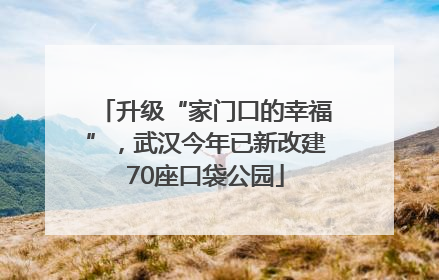 升级“家门口的幸福”，武汉今年已新改建70座口袋公园