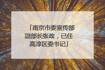 南京市委宣传部副部长张政，已任高淳区委书记