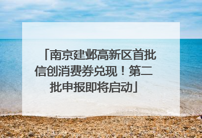 南京建邺高新区首批信创消费券兑现！第二批申报即将启动