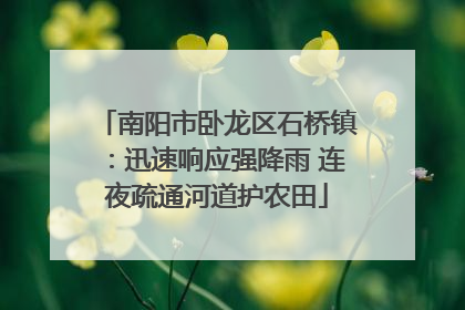 南阳市卧龙区石桥镇：迅速响应强降雨 连夜疏通河道护农田