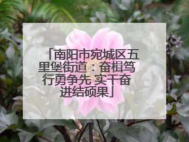 南阳市宛城区五里堡街道：奋楫笃行勇争先 实干奋进结硕果
