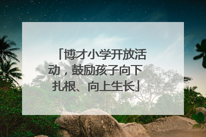 博才小学开放活动，鼓励孩子向下扎根、向上生长