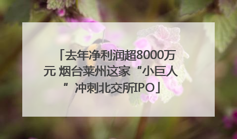 去年净利润超8000万元 烟台莱州这家“小巨人”冲刺北交所IPO