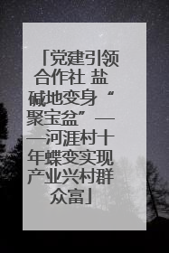 党建引领合作社 盐碱地变身“聚宝盆”——河涯村十年蝶变实现产业兴村群众富