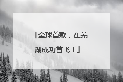 全球首款，在芜湖成功首飞！