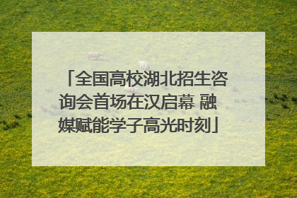 全国高校湖北招生咨询会首场在汉启幕 融媒赋能学子高光时刻
