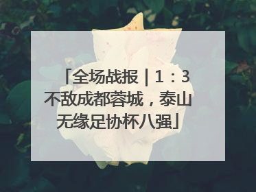 全场战报｜1：3不敌成都蓉城，泰山无缘足协杯八强