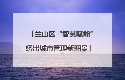 兰山区“智慧赋能”绣出城市管理新图景