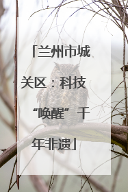 兰州市城关区：科技“唤醒”千年非遗