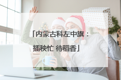 内蒙古科左中旗：插秧忙 待稻香