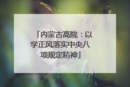 内蒙古高院：以学正风落实中央八项规定精神