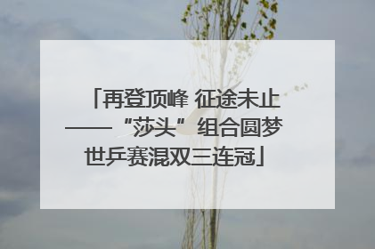 再登顶峰 征途未止——“莎头”组合圆梦世乒赛混双三连冠