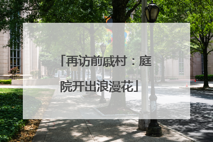 再访前戚村：庭院开出浪漫花