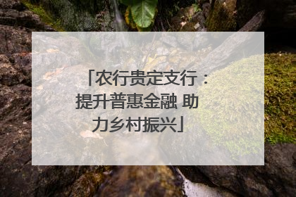 农行贵定支行：提升普惠金融 助力乡村振兴