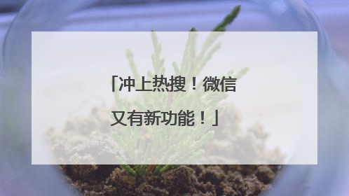 冲上热搜！微信又有新功能！