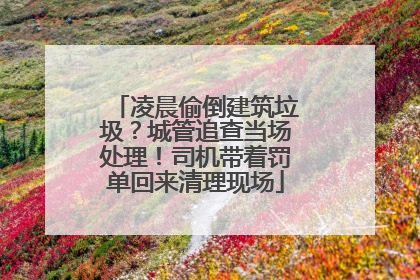 凌晨偷倒建筑垃圾？城管追查当场处理！司机带着罚单回来清理现场