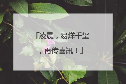 凌晨，易烊千玺，再传喜讯！