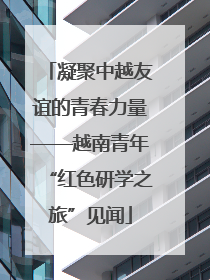 凝聚中越友谊的青春力量——越南青年“红色研学之旅”见闻