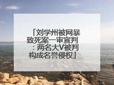 刘学州被网暴致死案一审宣判：两名大V被判构成名誉侵权
