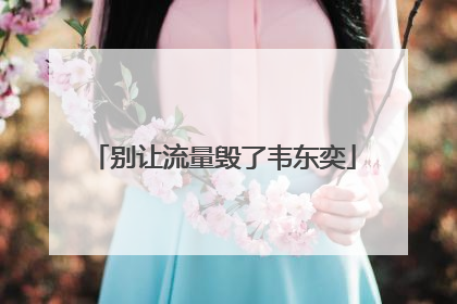 别让流量毁了韦东奕