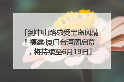 到中山路感受宝岛风情！福建·厦门台湾周启幕，将持续至6月19日