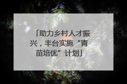 助力乡村人才振兴，丰台实施“青苗培优”计划