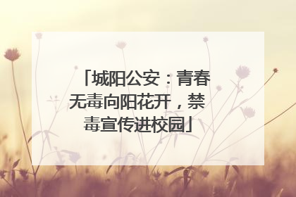 城阳公安：青春无毒向阳花开，禁毒宣传进校园