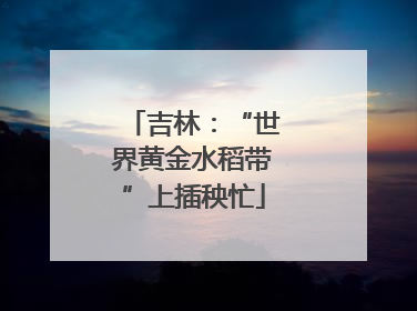 吉林：“世界黄金水稻带”上插秧忙