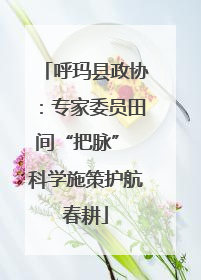 呼玛县政协：专家委员田间“把脉” 科学施策护航春耕