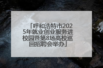 呼和浩特市2025年就业创业服务进校园暨第8场高校巡回招聘会举办