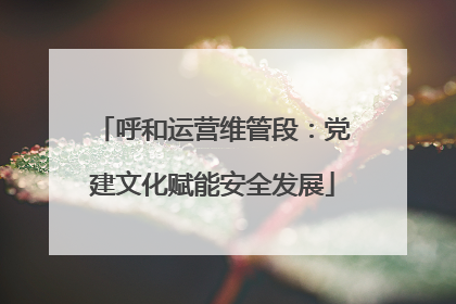 呼和运营维管段：党建文化赋能安全发展
