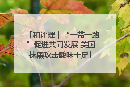 和评理｜“一带一路”促进共同发展 美国抹黑攻击酸味十足