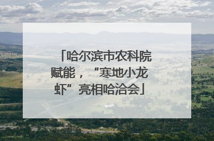 哈尔滨市农科院赋能，“寒地小龙虾”亮相哈洽会
