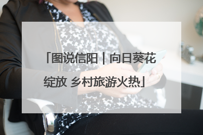 图说信阳｜向日葵花绽放 乡村旅游火热