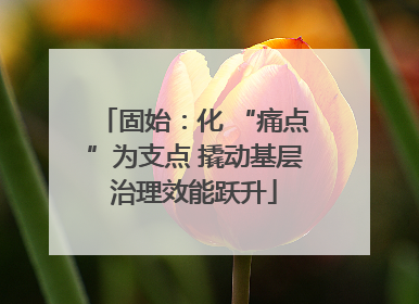 固始：化 “痛点”为支点 撬动基层治理效能跃升