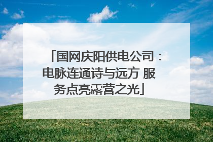 国网庆阳供电公司：电脉连通诗与远方 服务点亮露营之光
