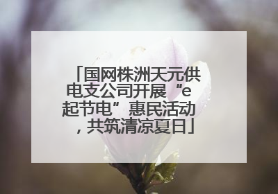 国网株洲天元供电支公司开展“e起节电”惠民活动，共筑清凉夏日