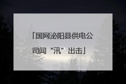 国网泌阳县供电公司闻“汛”出击