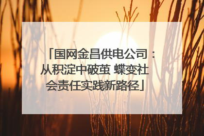 国网金昌供电公司：从积淀中破茧 蝶变社会责任实践新路径