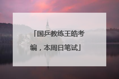 国乒教练王皓考编，本周日笔试