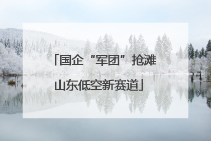国企“军团”抢滩山东低空新赛道