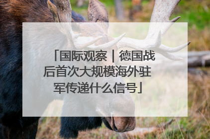 国际观察｜德国战后首次大规模海外驻军传递什么信号
