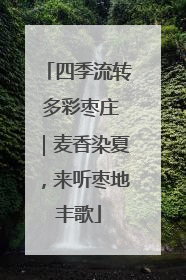 四季流转 多彩枣庄｜麦香染夏，来听枣地丰歌