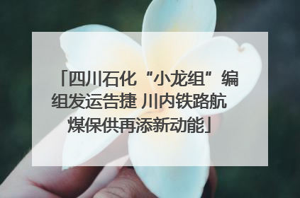 四川石化“小龙组”编组发运告捷 川内铁路航煤保供再添新动能