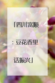 四川富顺：豆花香里话振兴