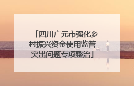 四川广元市强化乡村振兴资金使用监管突出问题专项整治