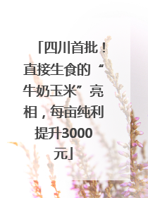 四川首批！直接生食的“牛奶玉米”亮相，每亩纯利提升3000元